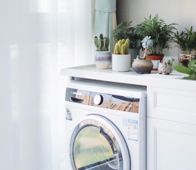 Dryer Repair